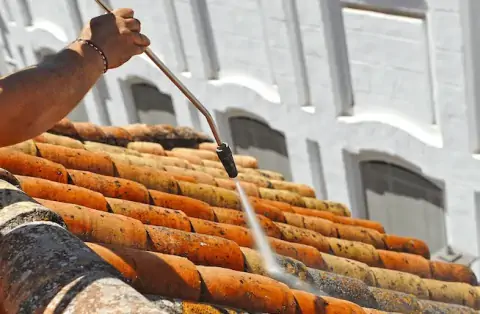 Nettoyage de toitures - Landéda